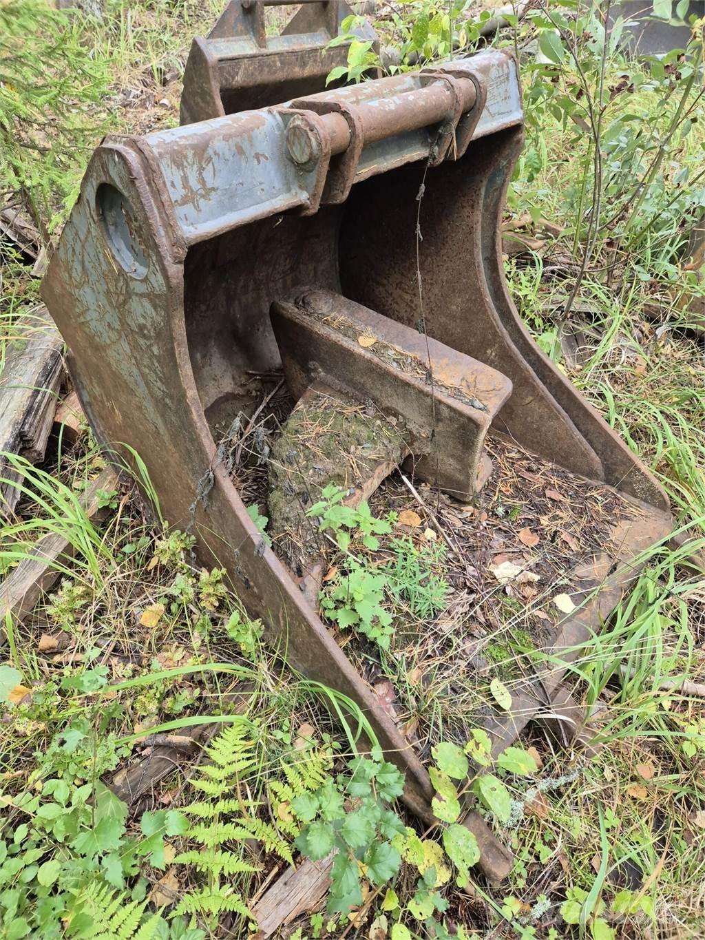 Lännen kynsikauha Skopor