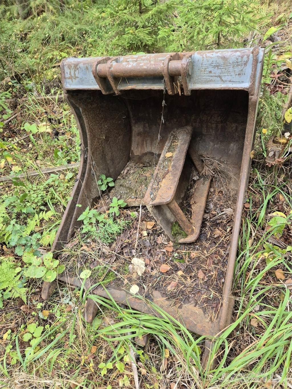 Lännen kynsikauha Skopor