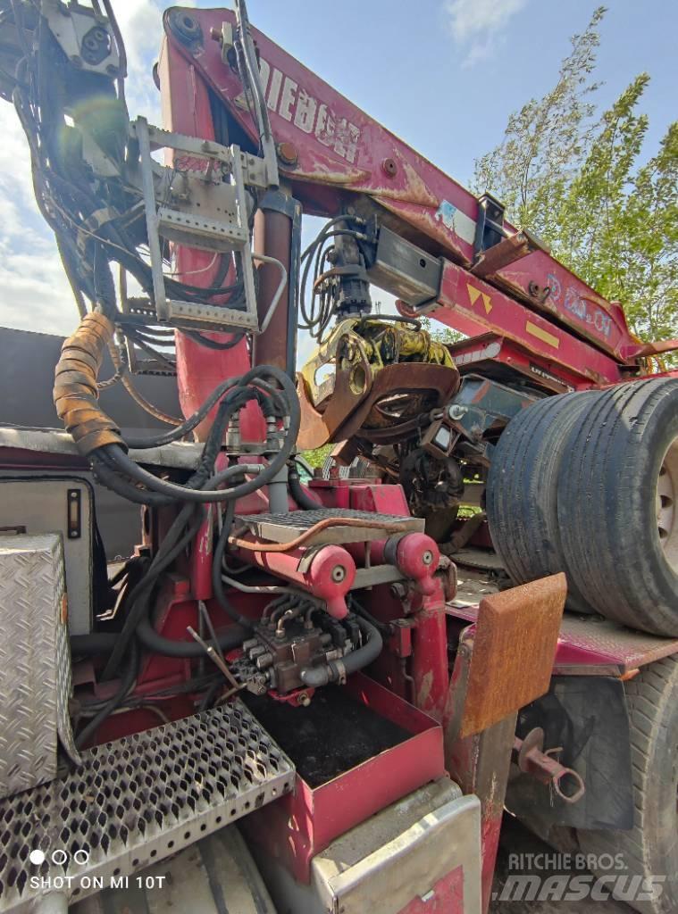 Diebolt 2881 Skogskranar