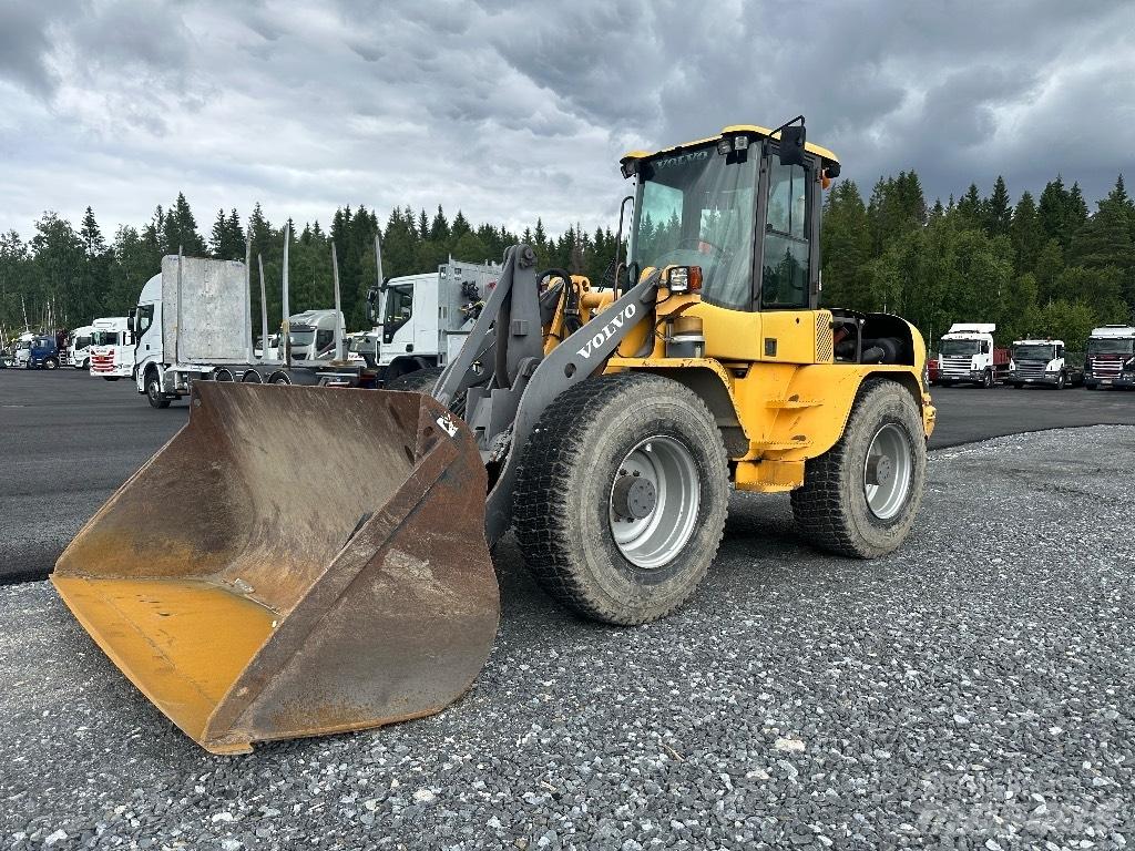 Volvo L45B 4X4 /245 Minilastare