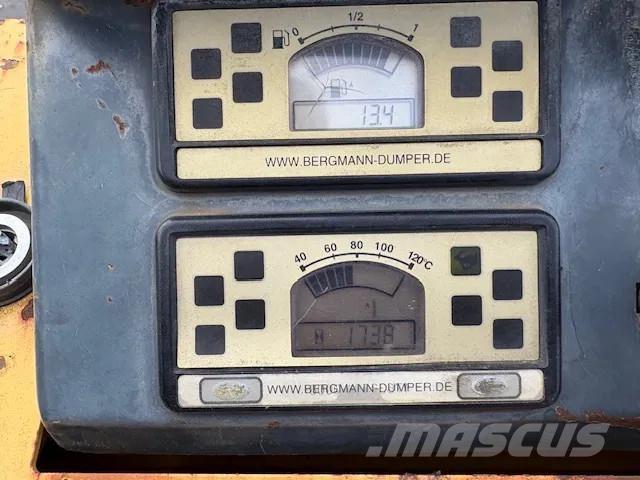 Bergmann 2050 Minidumprar