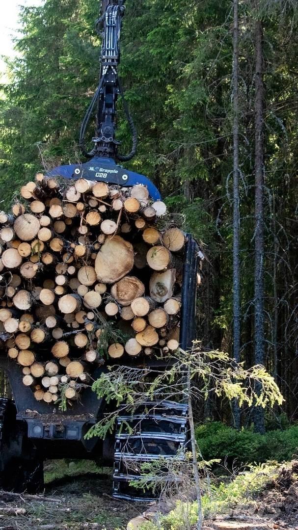  XL Grapple 028 STD Gripar