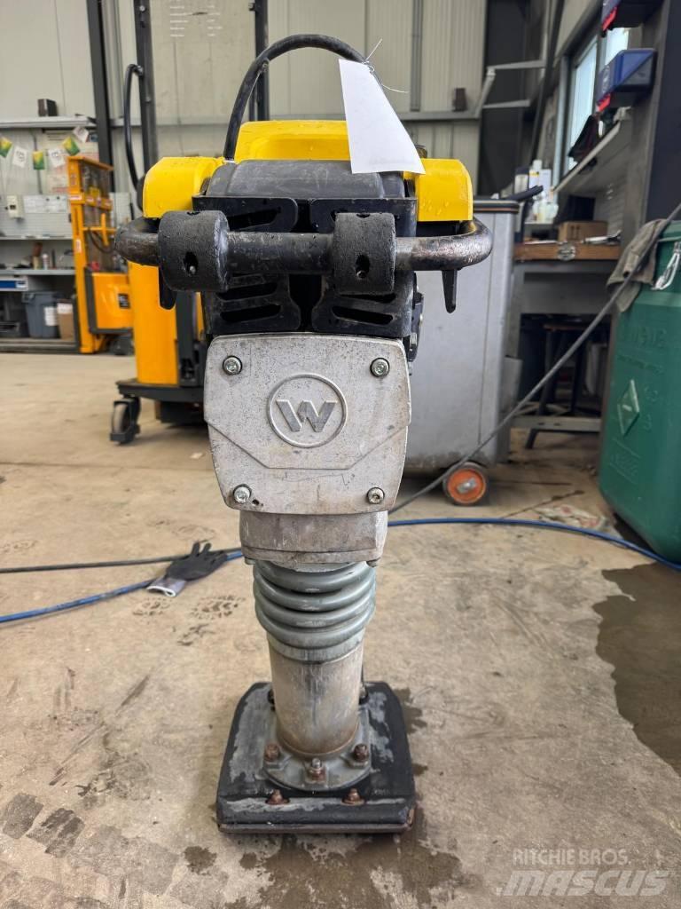 Wacker Neuson BS50-2 Stampar
