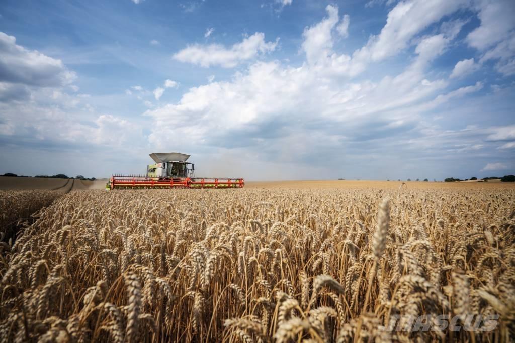 CLAAS Convio 930 Trösktillbehör