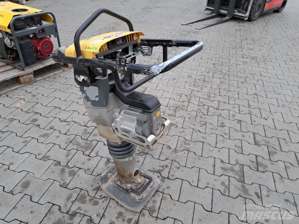 Wacker Neuson AS60e Stampar