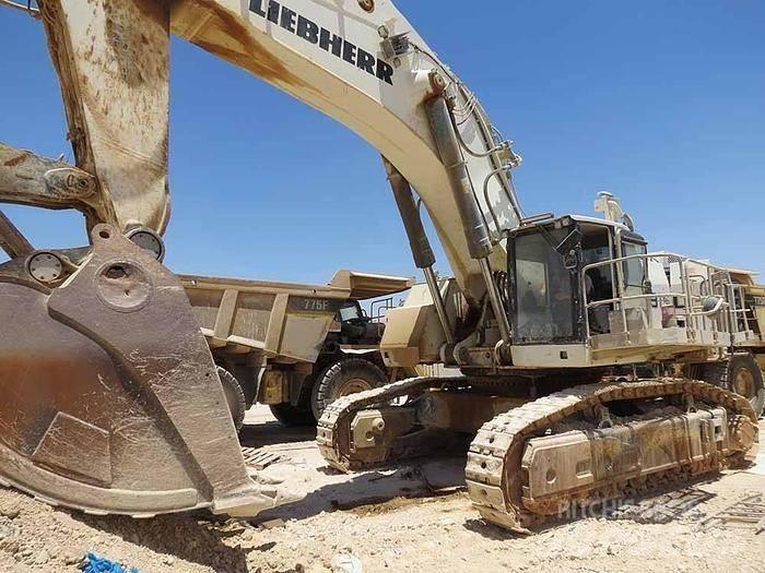 Liebherr R9150 Specialgrävmaskiner