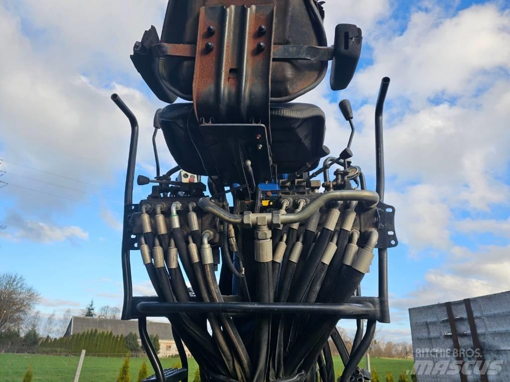 Epsilon Q170Z96 Skogskranar