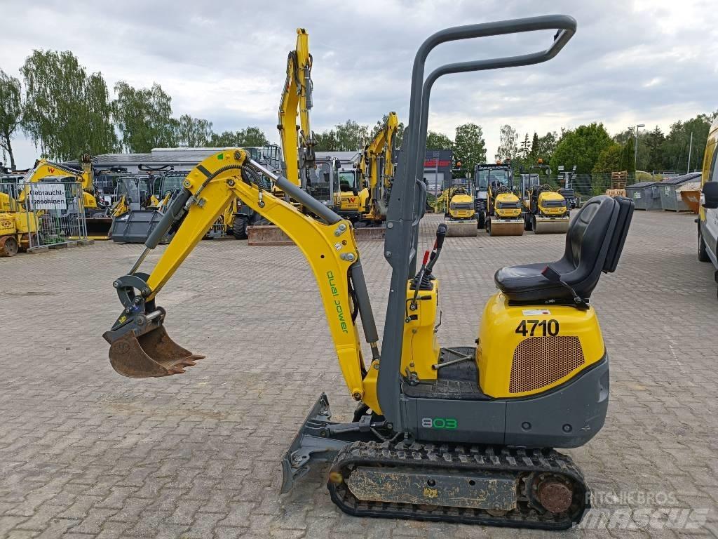 Wacker Neuson 803 Bandgrävare