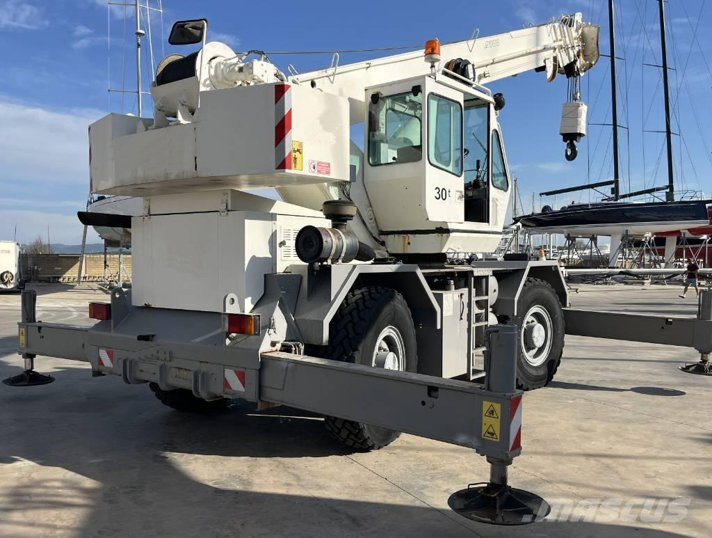 Terex A 300 Terrängkranar (Grov terräng)