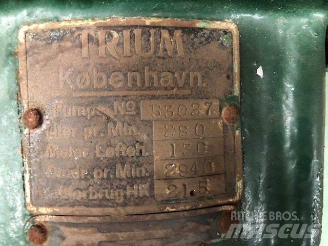  TRIUM QZKS Vandpumpe Vattenpumpar