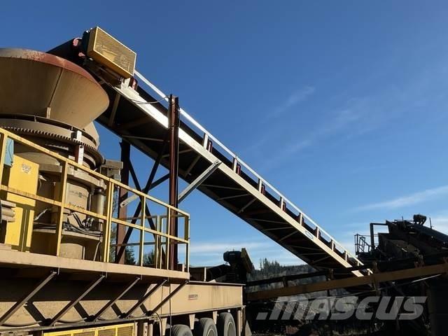  Reesco 36X60 Transportband