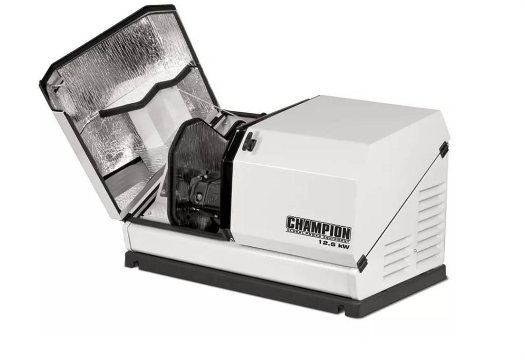 Champion 100838 Dieselgeneratorer