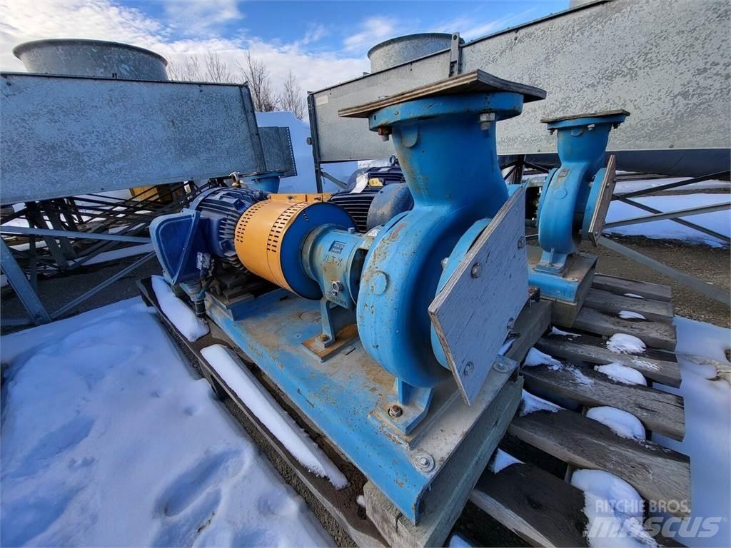  GOULDS 3196 Vattenpumpar