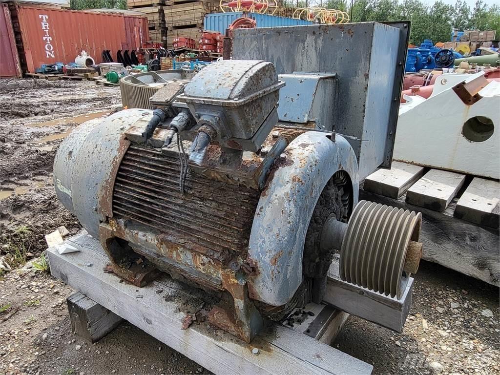  TECO-WESTINGHOUSE Industriella motorer