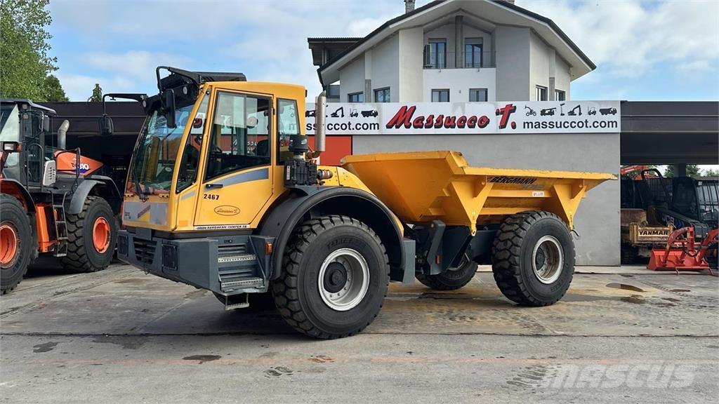 Bergmann 3012 DSK 4X4 Minidumprar