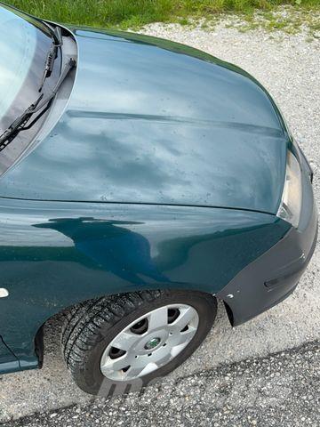 Skoda Fabia Lätta skåpbilar