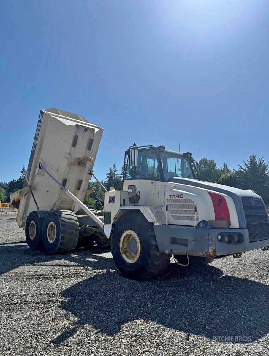 Terex TA30 Lätta skåpbilar