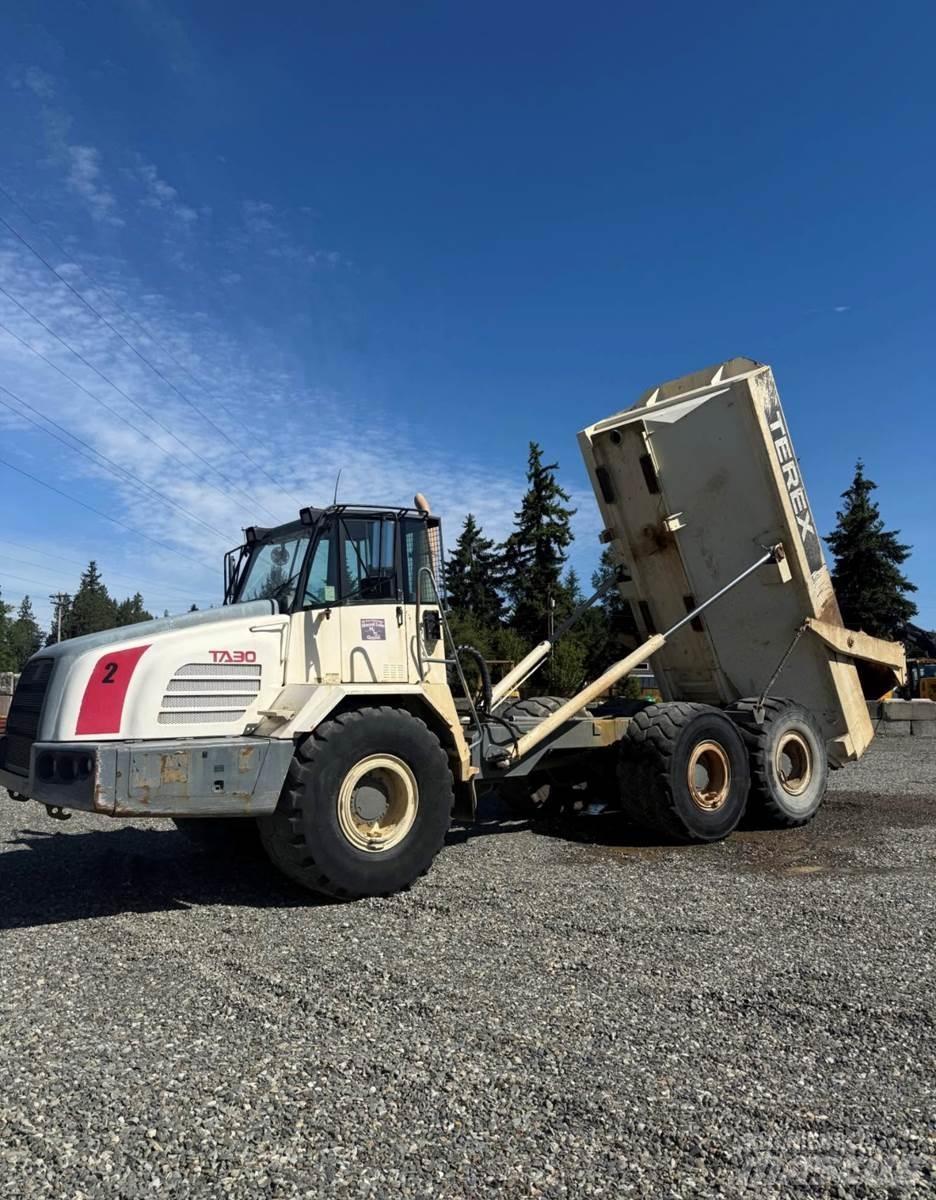 Terex TA30 Lätta skåpbilar
