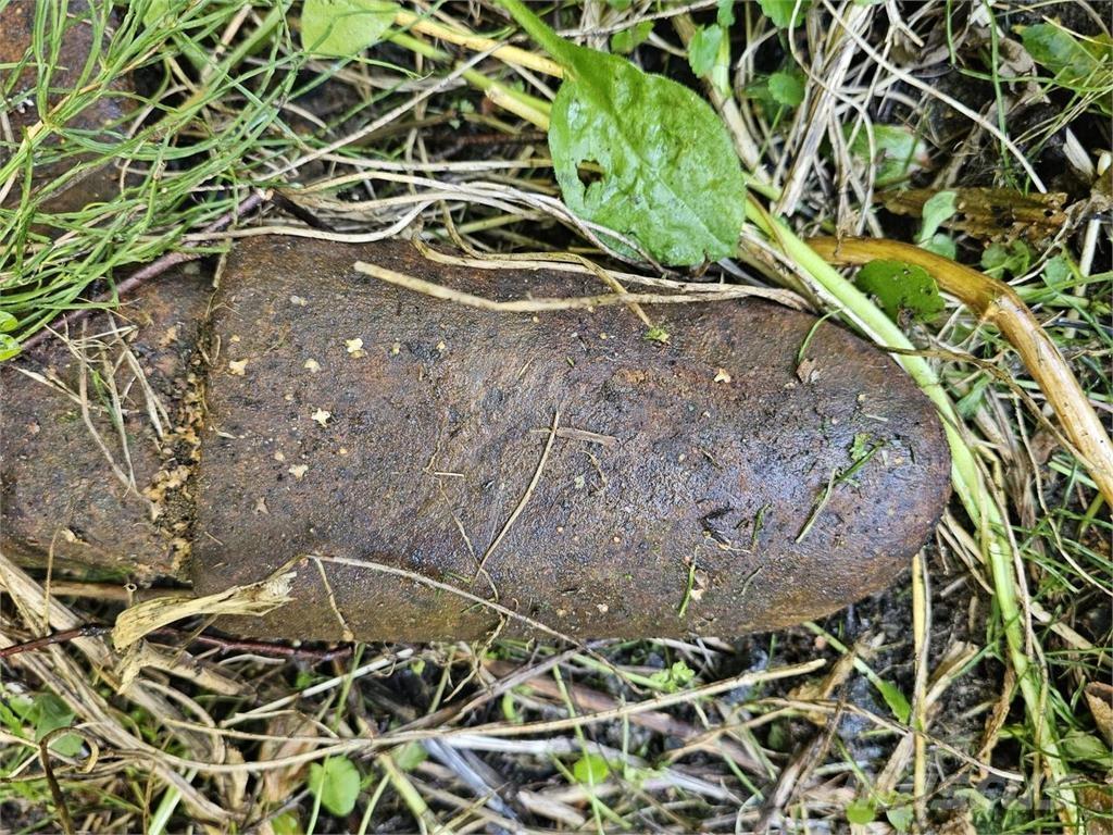  Kynsikuokkakauha Skopor