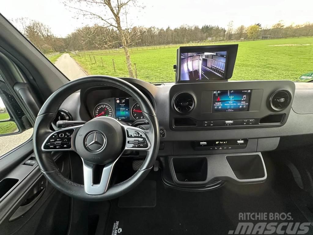 Mercedes-Benz Sprinter 315 AMG 2-paards paardenvrachtwagen B-rij Djurtransporter