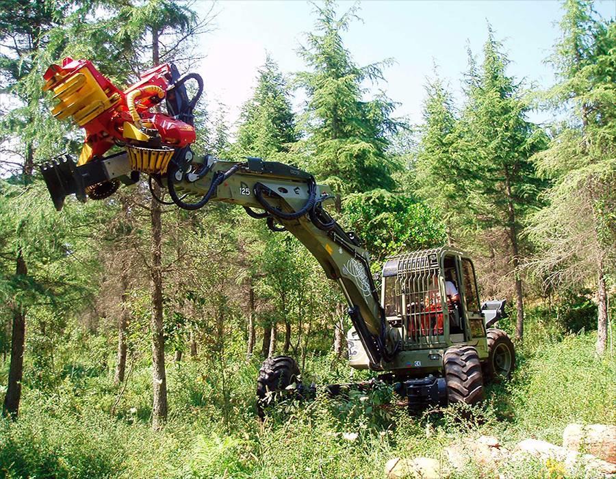 Euromach R125 Big Foot Amfibiska grävmaskiner