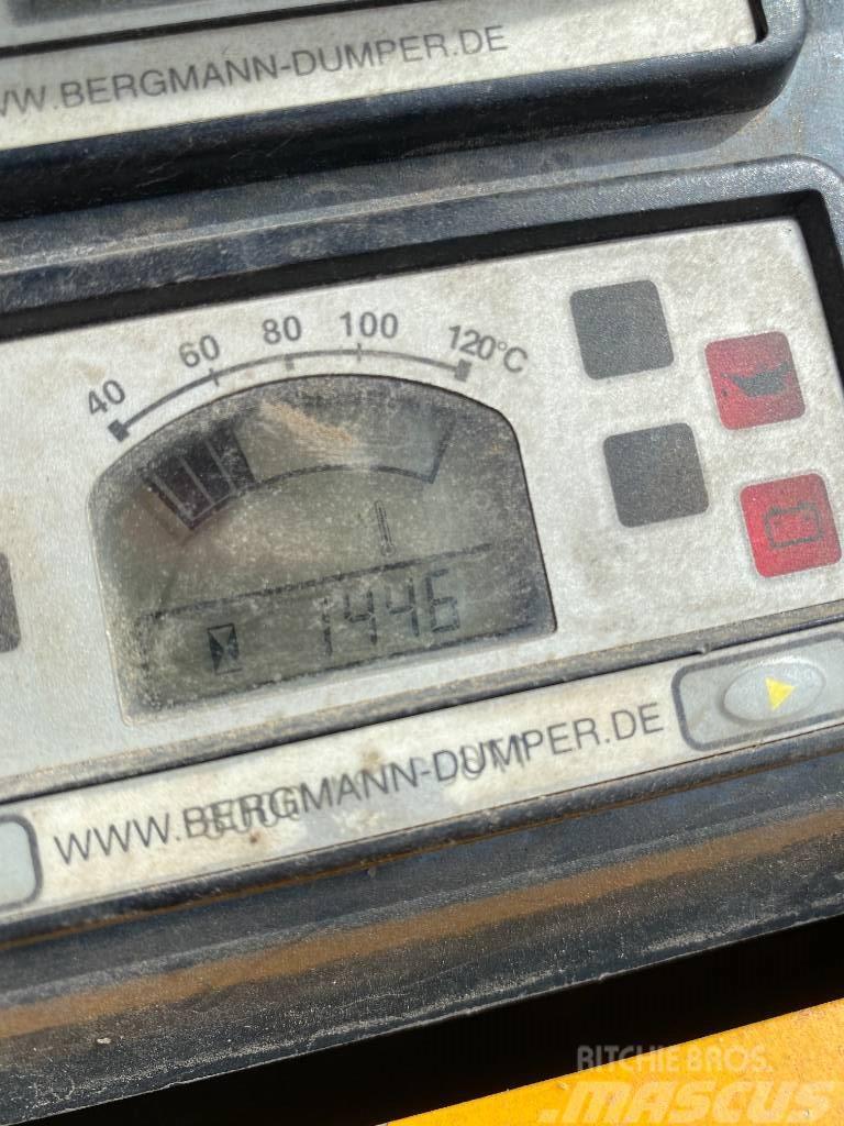 Bergmann BL250 Hjullastare