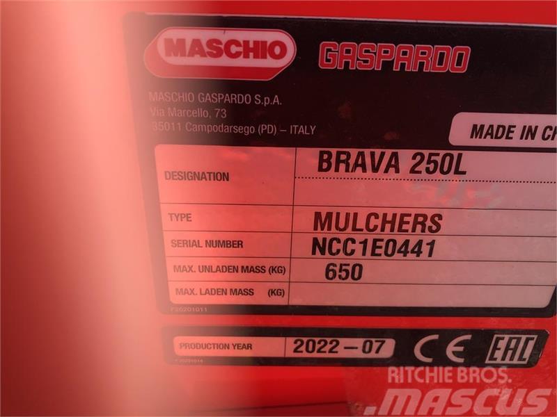 Maschio Brava 250 PÅ LAGER TIL OMGÅENDE LEVERING Slåttermaskiner