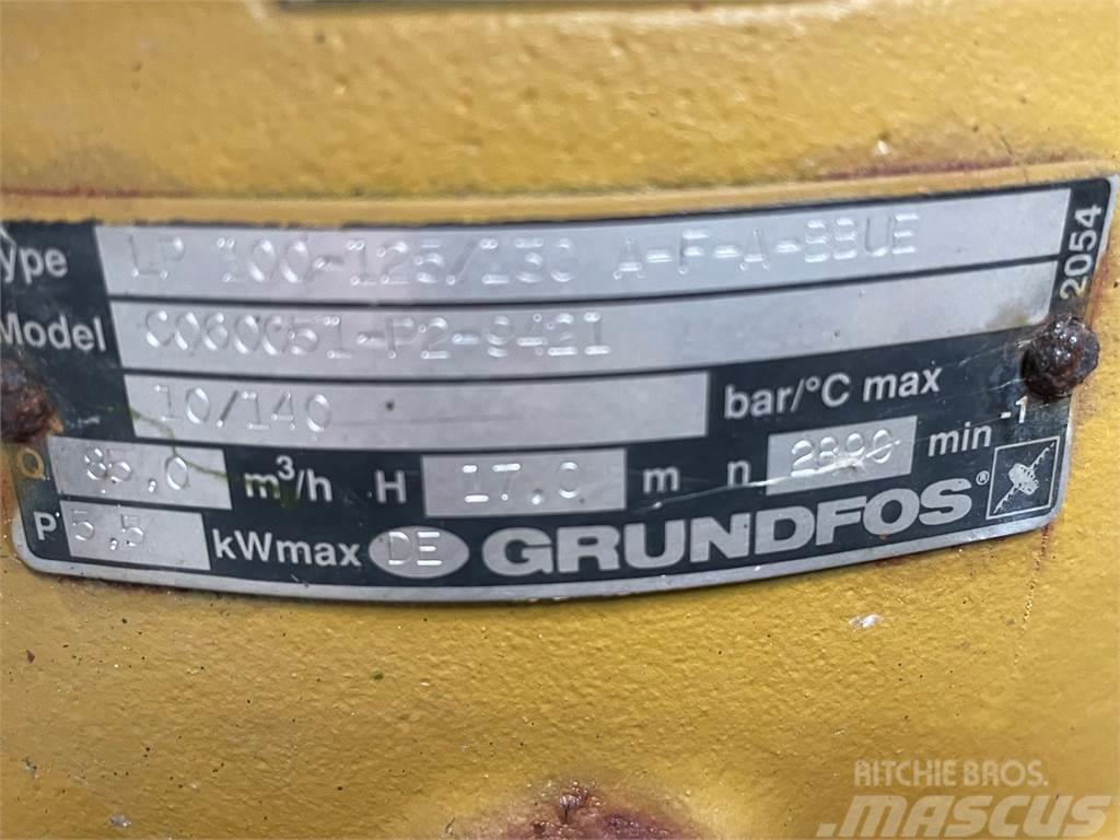 Grundfos type LP 100-125/130 A-F-A-BBUE pumpe Vattenpumpar